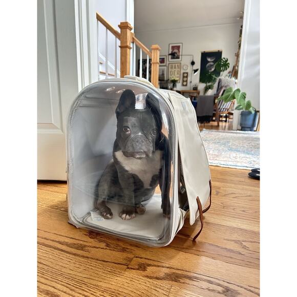 Pet Cat Dog Backpack Carrier With Clear View - Picture 2 of 10